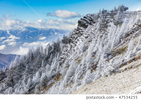Larch of the Mihigahara / fog ice Larch of the Mihigahara / fog ice 47534255