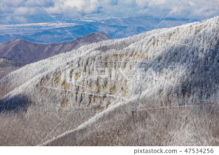 Larch of the Mihigahara / fog ice 47534256