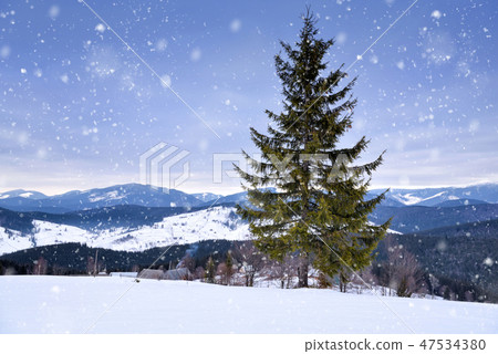 Beautiful mountain landscape. Winter landscape 47534380