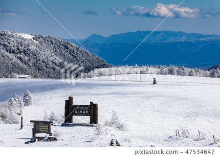 Utsukushigahara Plateau in winter 47534647