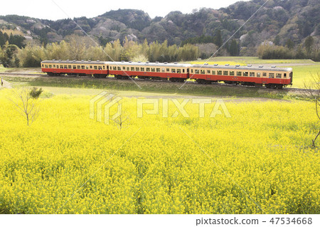 火車運行強姦領域 火車運行強姦領域 47534668