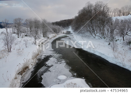 在北海道冬季北海道厚厚的Atsugawa河的支流上拍攝荷葉冰流的景觀 47534965