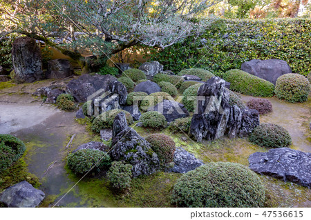 冬天寺廟在京都在冬天 47536615