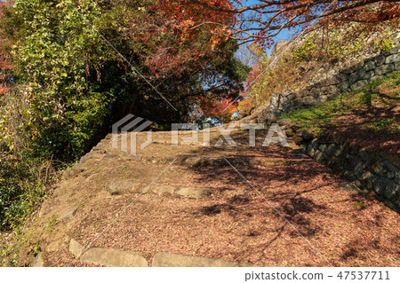 秋天的大城城遺址[大分縣] 47537711