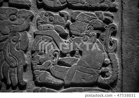 Maya Maya 47538031