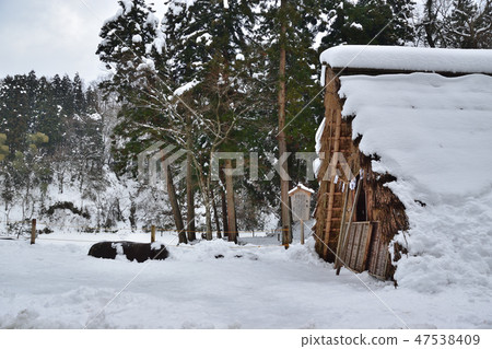 金澤佑蘇冬季冰室 金澤佑蘇冬季冰室 47538409