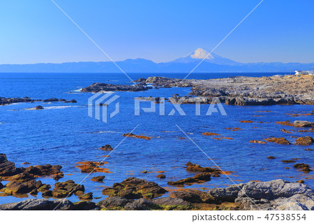 [神奈川縣]從鹿島島看的富士山 47538554