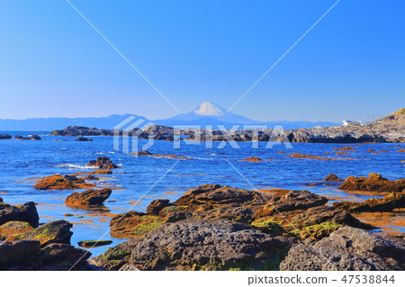 [神奈川縣]從鹿島島看的富士山 47538844