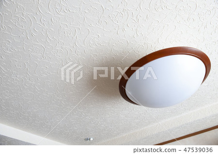 Living image Living image 47539036