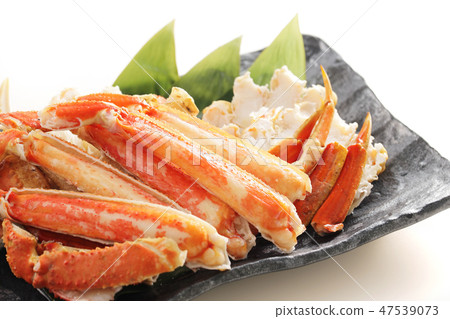 Snow crab 47539073