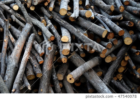 pile of old firewood pile of old firewood 47540078