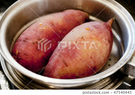 深石土豆 47540445