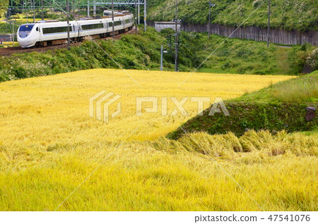 Carpet of Inaho and Hakutaka WHITE WING Limited express hakata Carpet of Inaho and Hakutaka WHITE WING Limited express hakata 47541076