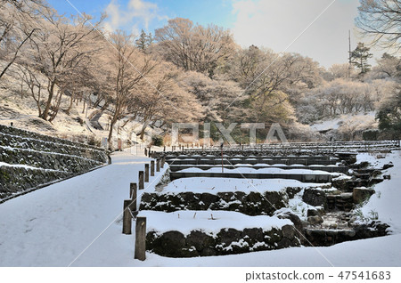 金澤市Utatsuyama虹膜學園 47541683