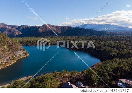 [Yamanashi Prefecture] Mt. Fuji West Lake Winter 47541757