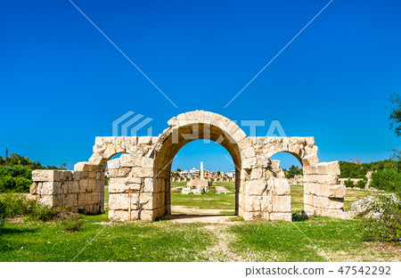 Ancient hippodrome in Tyre, Lebanon Ancient hippodrome in Tyre, Lebanon 47542292
