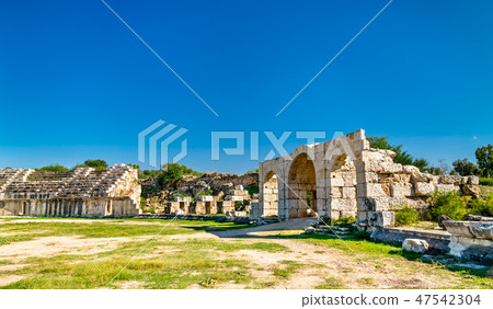 Ancient hippodrome in Tyre, Lebanon Ancient hippodrome in Tyre, Lebanon 47542304