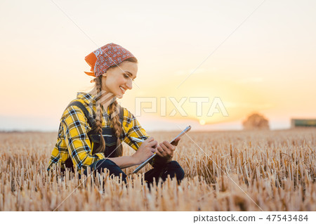 Farmer woman calculating harvest yield after a long day Farmer woman calculating harvest yield after a long day 47543484