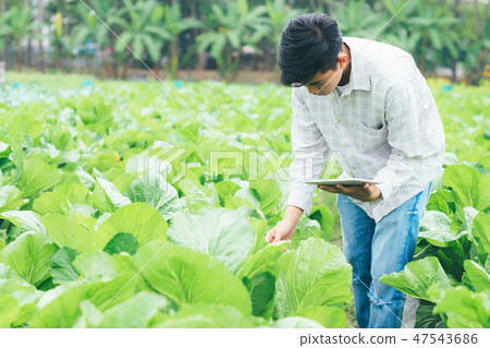 Smart farming using modern technologies in agriculture. Smart farming using modern technologies in agriculture. 47543686