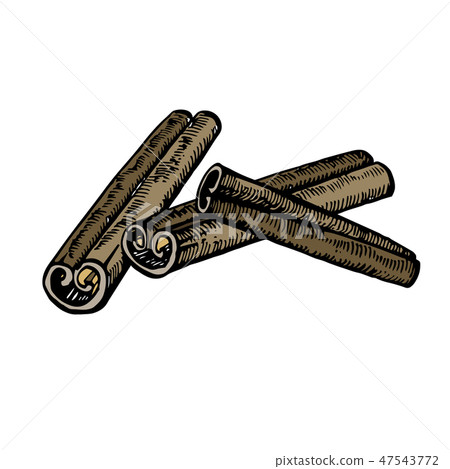 Cinnamon stick hand drawn vector sketch. Engraved style spice illustrations. 47543772