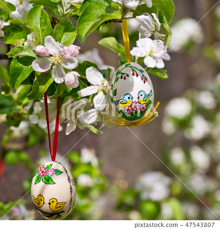 Painted Easter egss Painted Easter egss 47543807