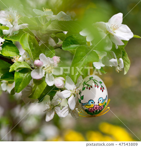 Painted Easter egss hanging  47543809