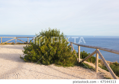 Sea with waves and bushes on the sea coast Sea with waves and bushes on the sea coast 47544313