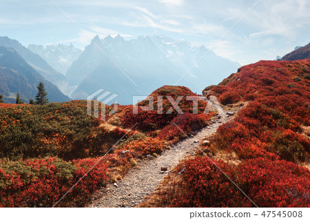 Amazing view on Monte Bianco mountains range with Monblan on background 47545008