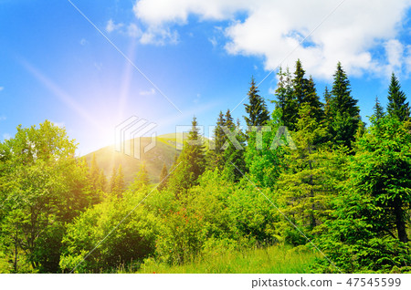 Picturesque mountains Carpathians and sunrise. 47545599