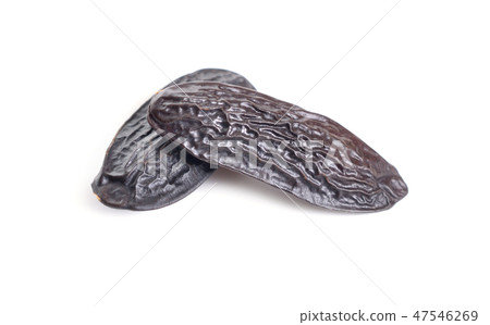 Dried tonka beans isolated on white background 47546269