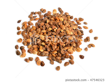 Seed of Onobrychis or sainfoins. Isolated on white Seed of Onobrychis or sainfoins. Isolated on white 47546323