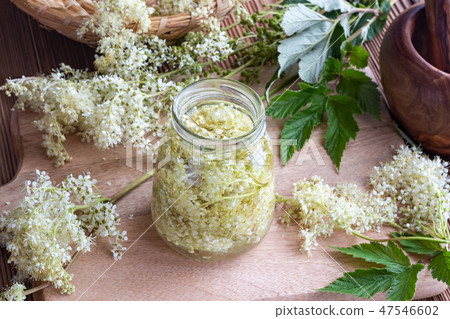 Preparation of tincture from meadowsweet blossoms Preparation of tincture from meadowsweet blossoms 47546602