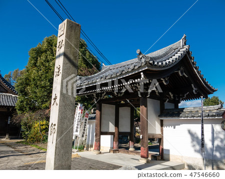 岐阜:Kobori Kagamishima 岐阜:Kobori Kagamishima 47546660