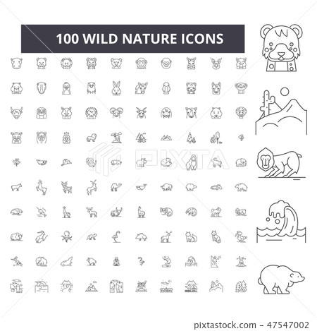 Wild nature editable line icons, 100 vector set, collection. Wild nature black outline illustrations 47547002