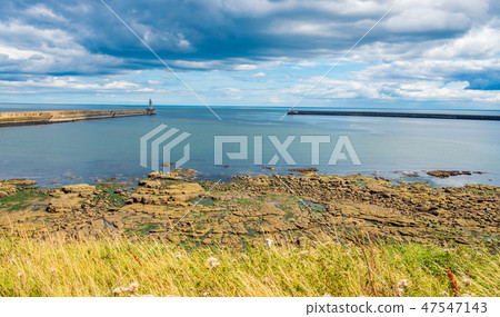 Landscape around Tynemouth Piers and lighthouses Landscape around Tynemouth Piers and lighthouses 47547143