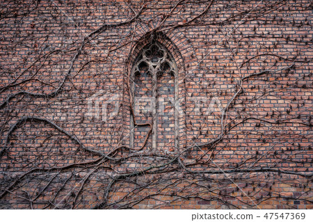 overgrown brick wall of church building gothic  47547369