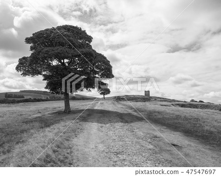 Path to The Cage tower, Lyme Park estate, UK Path to The Cage tower, Lyme Park estate, UK 47547697