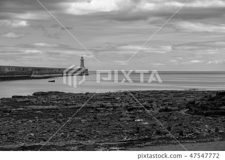 Landscape around Tynemouth Pier and lighthouse Landscape around Tynemouth Pier and lighthouse 47547772