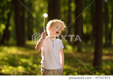 Little boy playing with dandelion fluff. Little boy playing with dandelion fluff. 47547973
