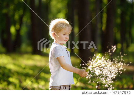 Little boy playing with dandelion fluff. Little boy playing with dandelion fluff. 47547975