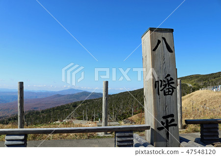 在八幡平河頂部附近景觀 47548120