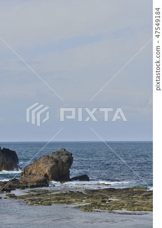 [Hyogo Prefecture Kasumi Coast] Frog island in Imakoura 47549184