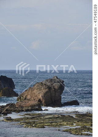 [Hyogo Prefecture Kasumi Coast] Frog island in Imakoura 47549189