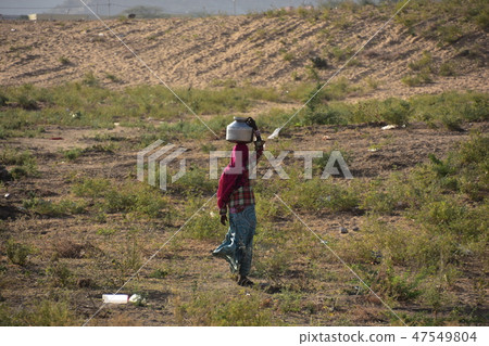 運載在印地安頭的印地安婦女一個水瓶居住在拉賈斯坦省，印度的普斯赫卡爾沙漠 47549804