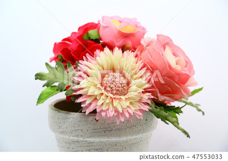 小花 小花 47553033