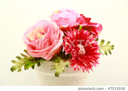 小花 小花 47553038