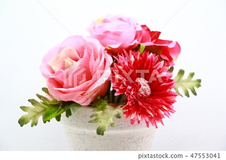 小花 小花 47553041