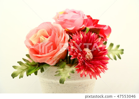 小花 47553046