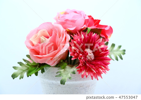 小花 47553047