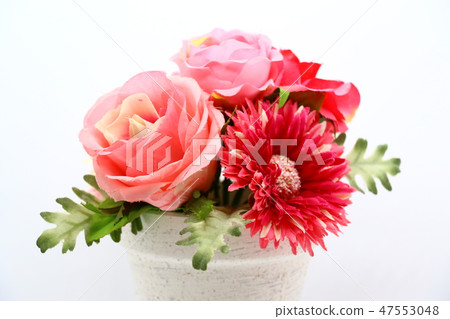 小花 小花 47553048